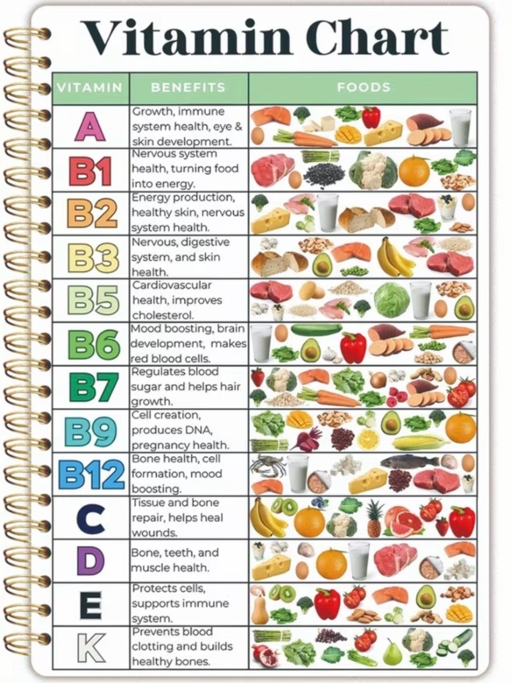 Vitamin Chart Journal Book - Colorful Nutrient Guide